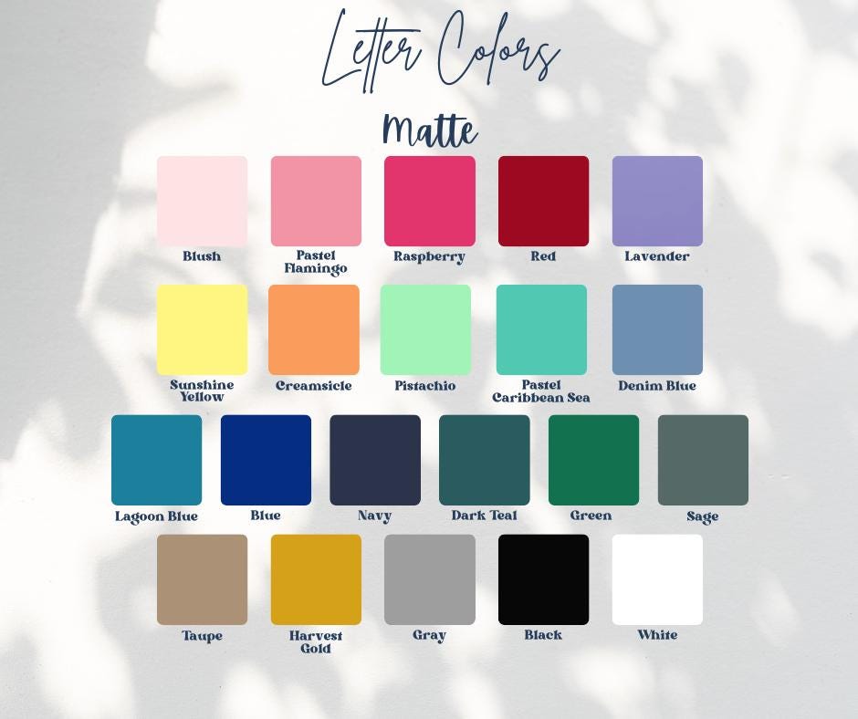 Daisy Matte Badge Buddy: RN Nurse Gift, Acrylic Badge Reel Accessory